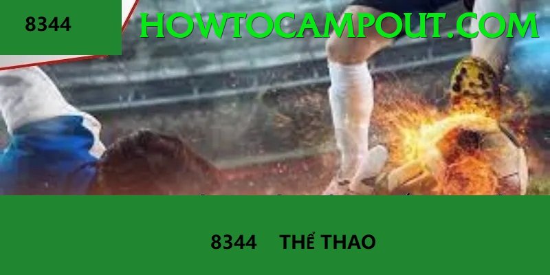 Cá Cược Thể Thao - xoc88